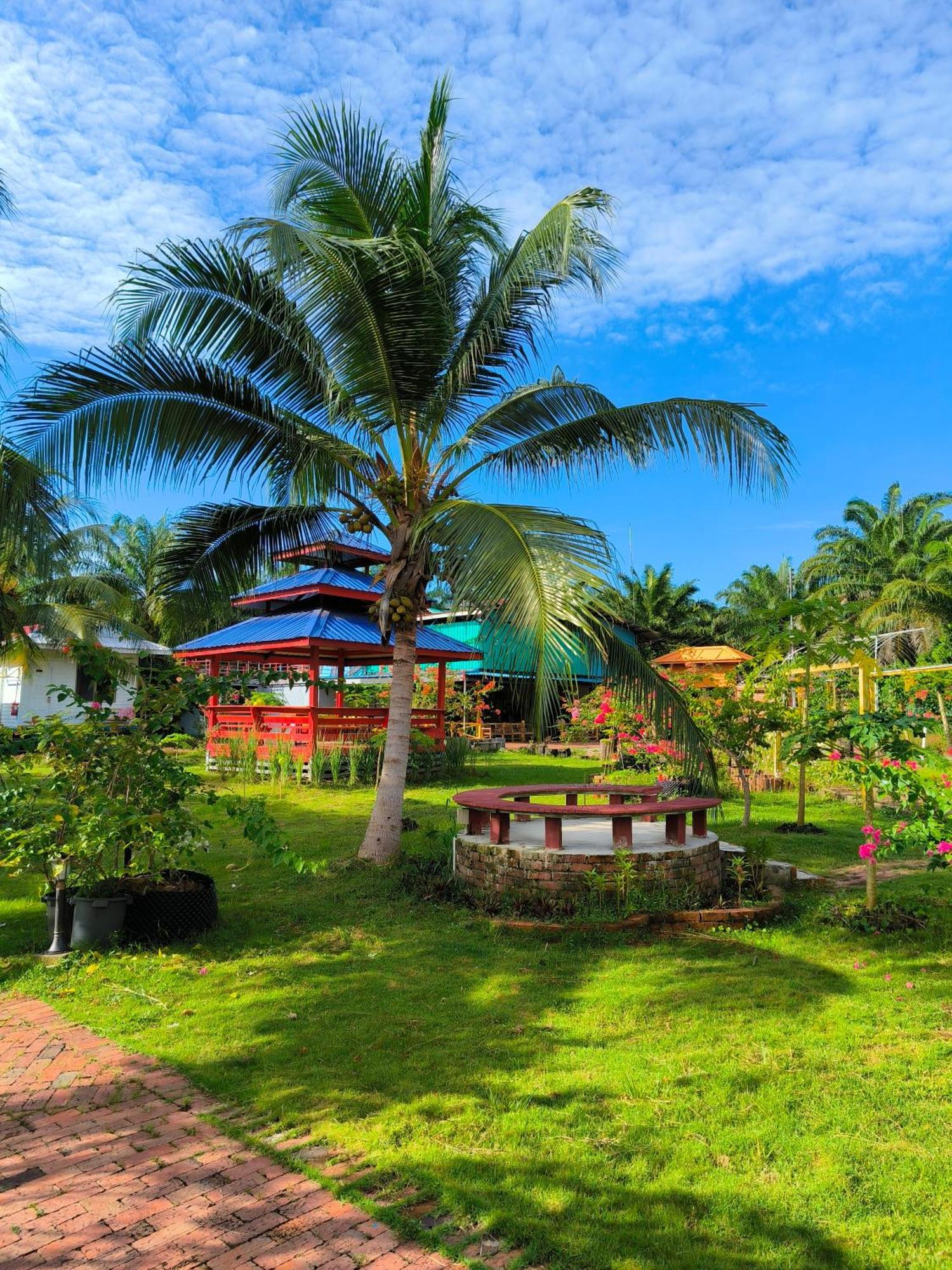 Shunde Palm Resort 仙本那顺德人家棕榈园 Semporna Exterior foto