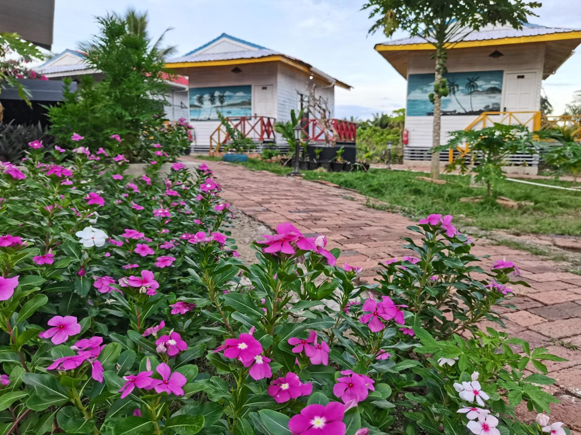 Shunde Palm Resort 仙本那顺德人家棕榈园 Semporna Exterior foto